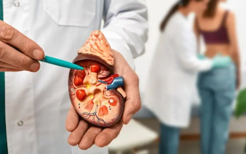 Kidney Cancer Surgeon in Narela